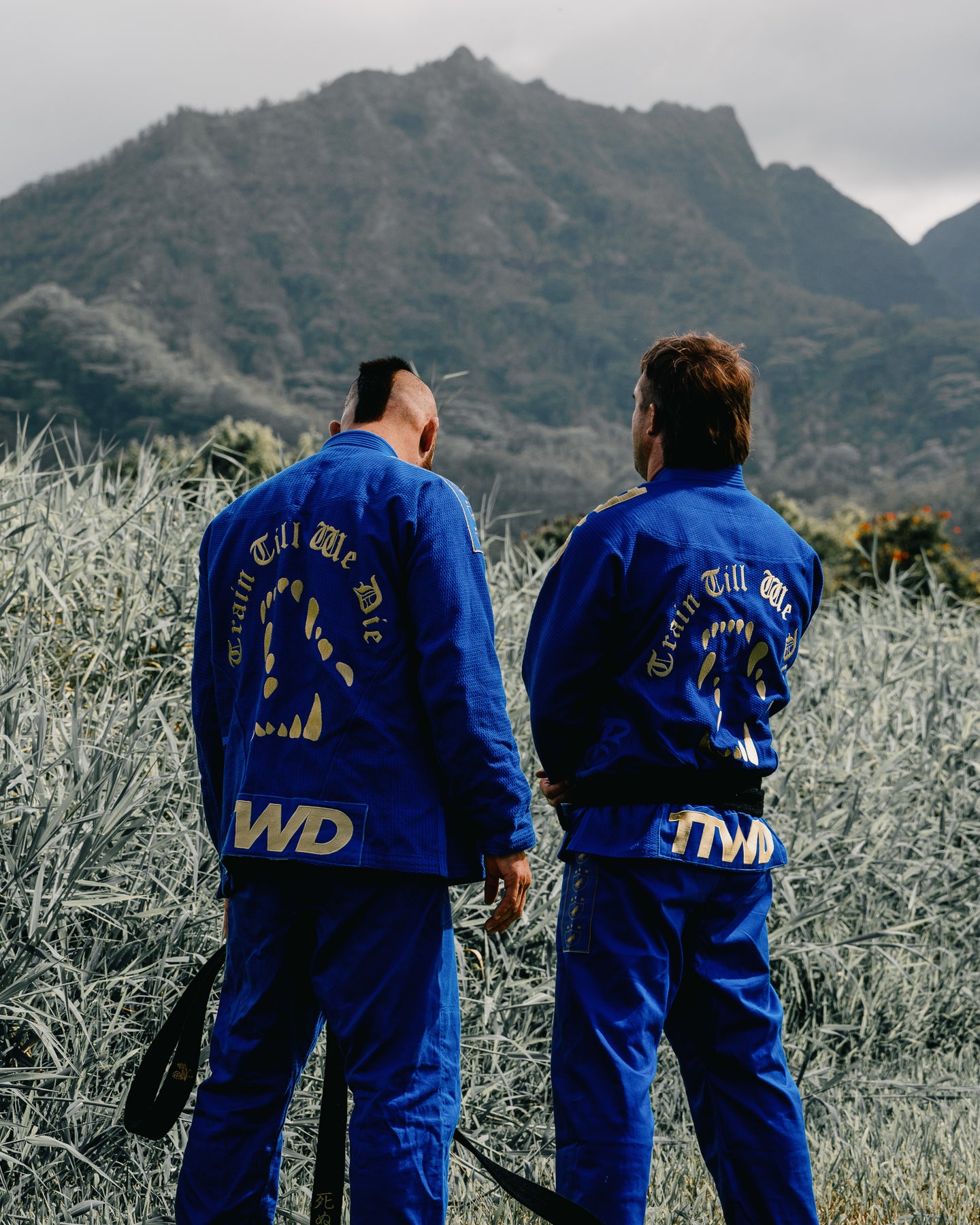 TTWD – The Arm Bar Soap Company