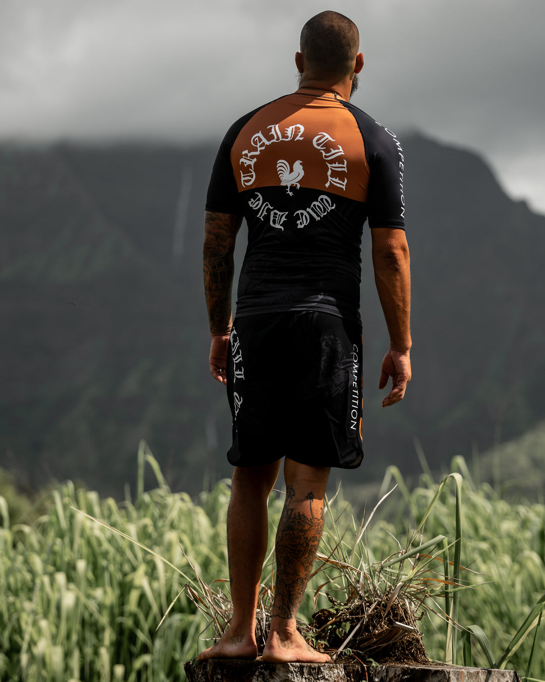 The TTWD COMP. Rash Guard - Brown – The Arm Bar Soap Company
