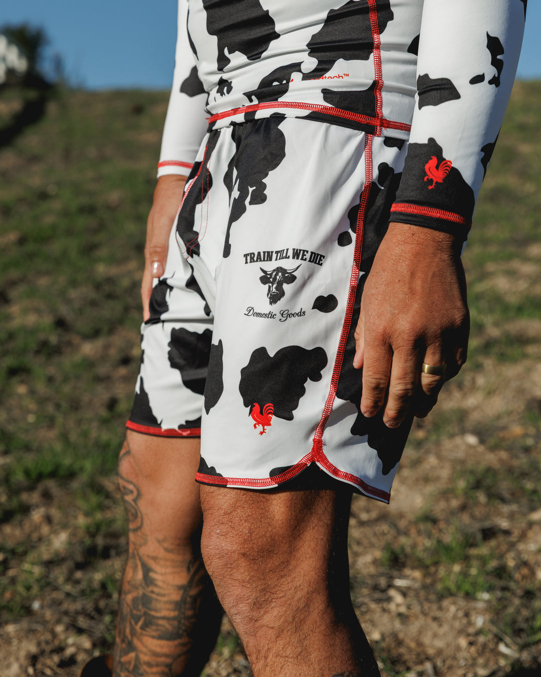 The No Gi Domestic Training Shorts - Holstein Cow - All-Terrain