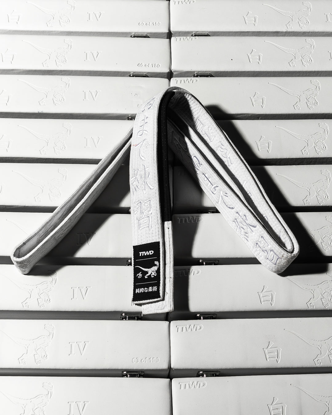 The Limited Edition White Belt - V4 RAPTOR – The Arm Bar