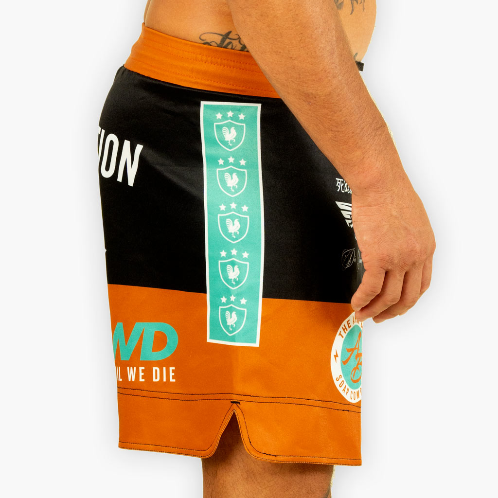 Training Shorts - Brown